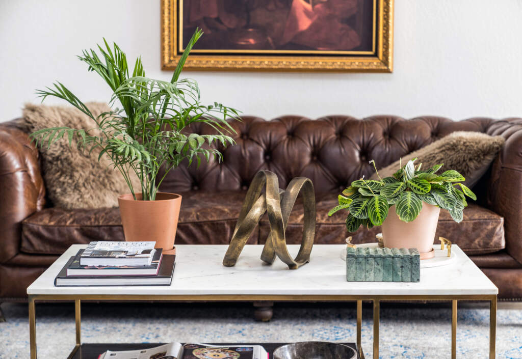 10 Home Decor Essentials For A Biophilic Aesthetic